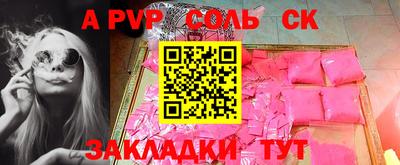 крисы Славгород