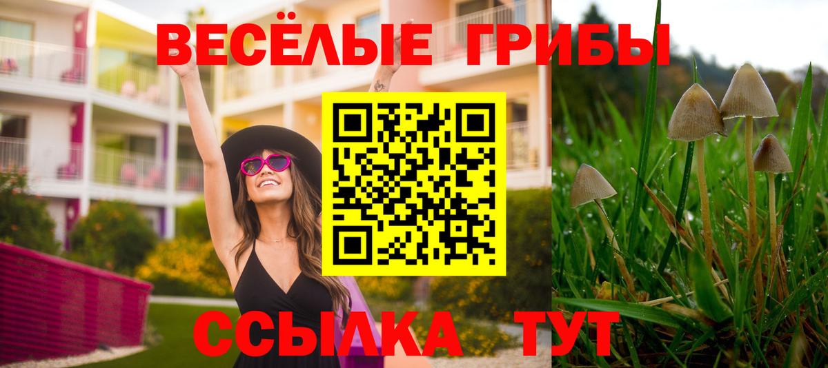 Псилоцибиновые грибы Magic Shrooms  Вход с VPN  Галлюциногенные грибы Cubensis  Омск 